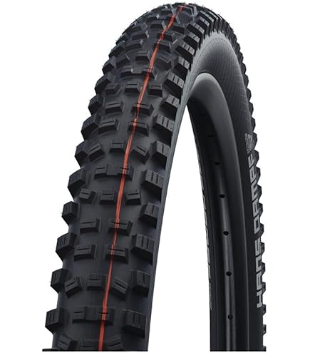 Amazon.com : Schwalbe Hans Dampf Evolution Super Trail TLE
